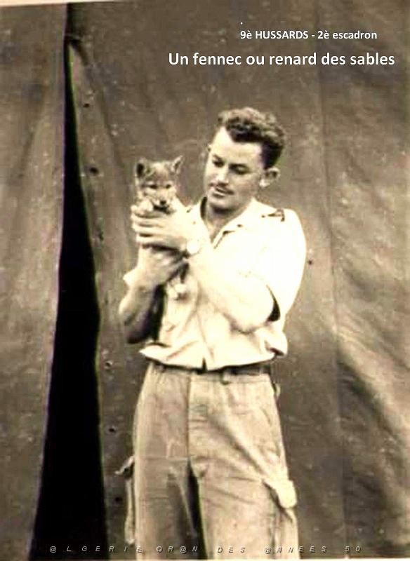 ANIMAUX 5aFENEC.jpg